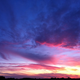 Image for article titled How Nanoscale Optics Create Nature's Most Dazzling Colors